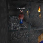 [Vidéo] Minecraft en multi – Règles de base et Parcours du combattant