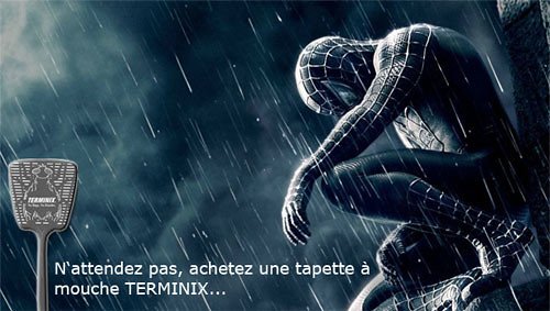photomontage-spiderman-terminix