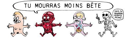 banniere_tu_mourras_moins_bete