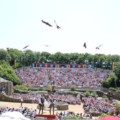 Puy-du-Fou---oiseaux-volatiles