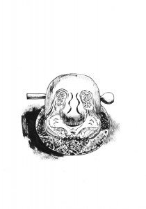 scan mokugyo