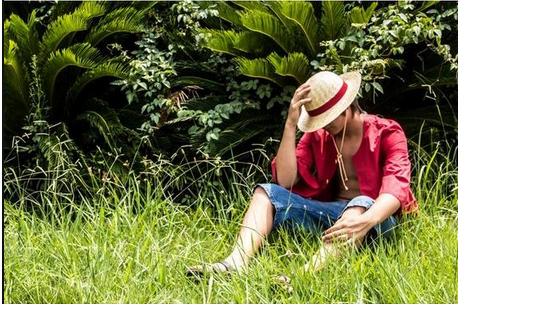 one piece luffy cosplay