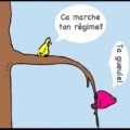 humour oiseaux