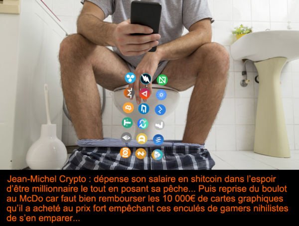 Les cryptomonaies